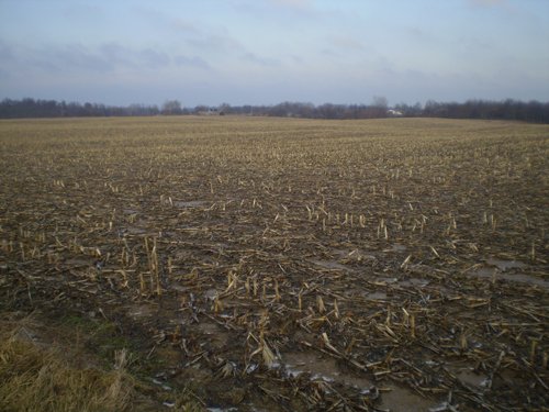 Property photo 4 - 71 Acres Offered in 2 Tracts